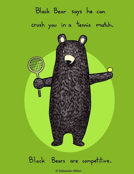 black_bear_loves_tennis_by_sebreg-d39ni17.jpg